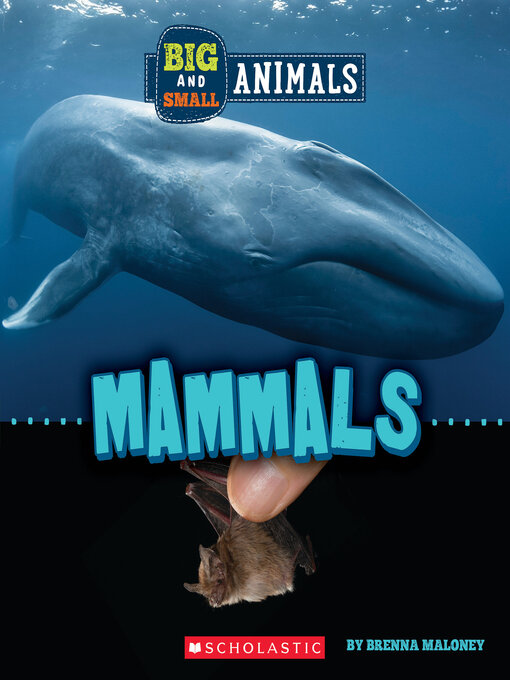 Title details for Mammals by Brenna Maloney - Available